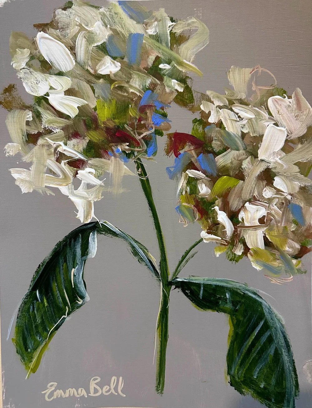 Botanical White Hydrangeas