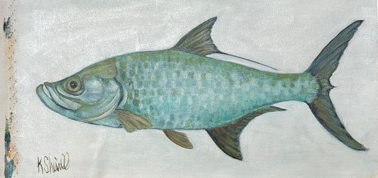 Tarpon