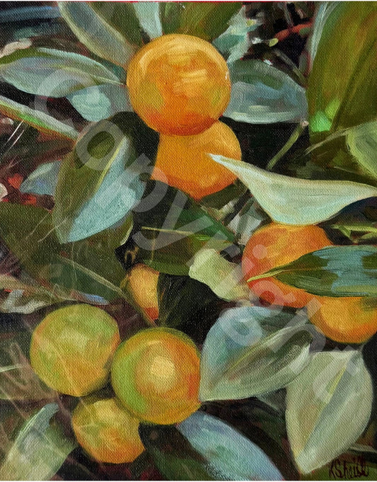 Oranges