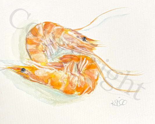 Shrimp