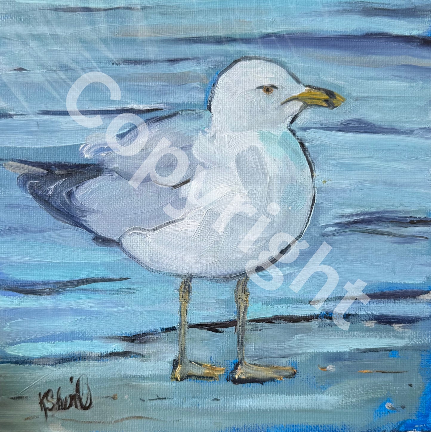 Right Facing Seagull