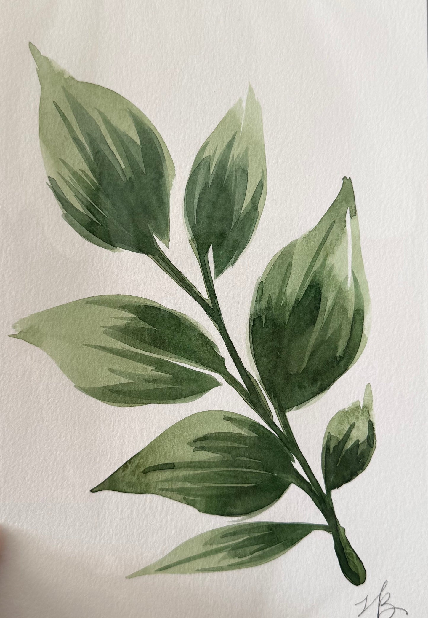 Watercolor Leaf I