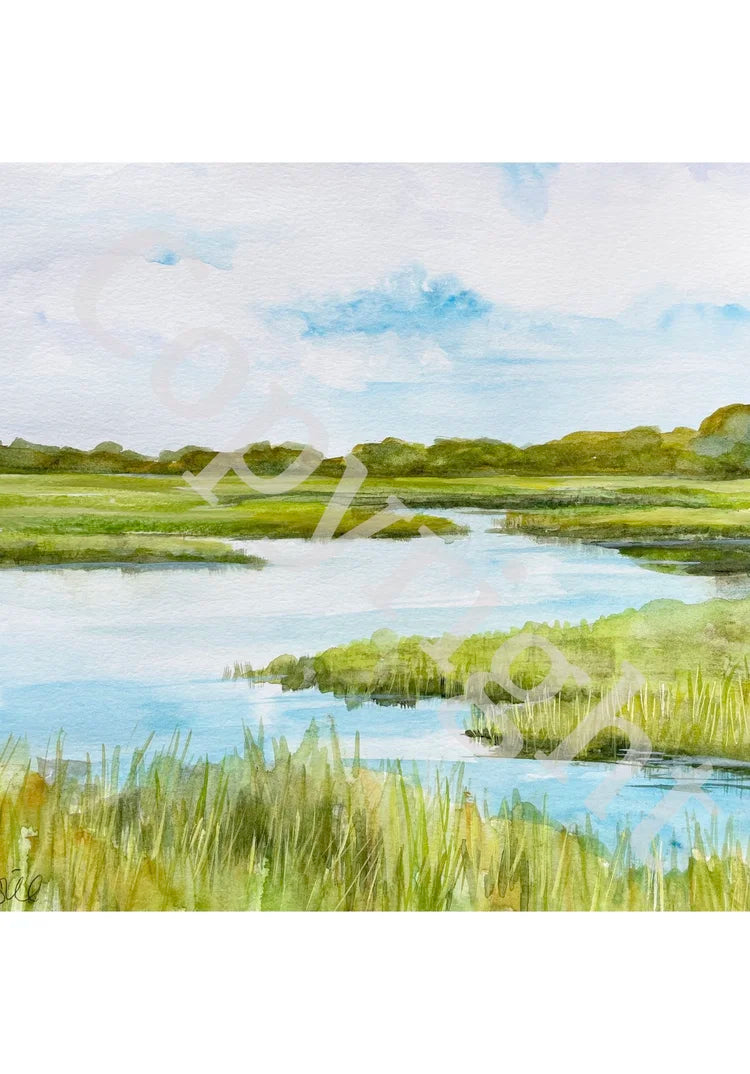 Marsh Scene 2
