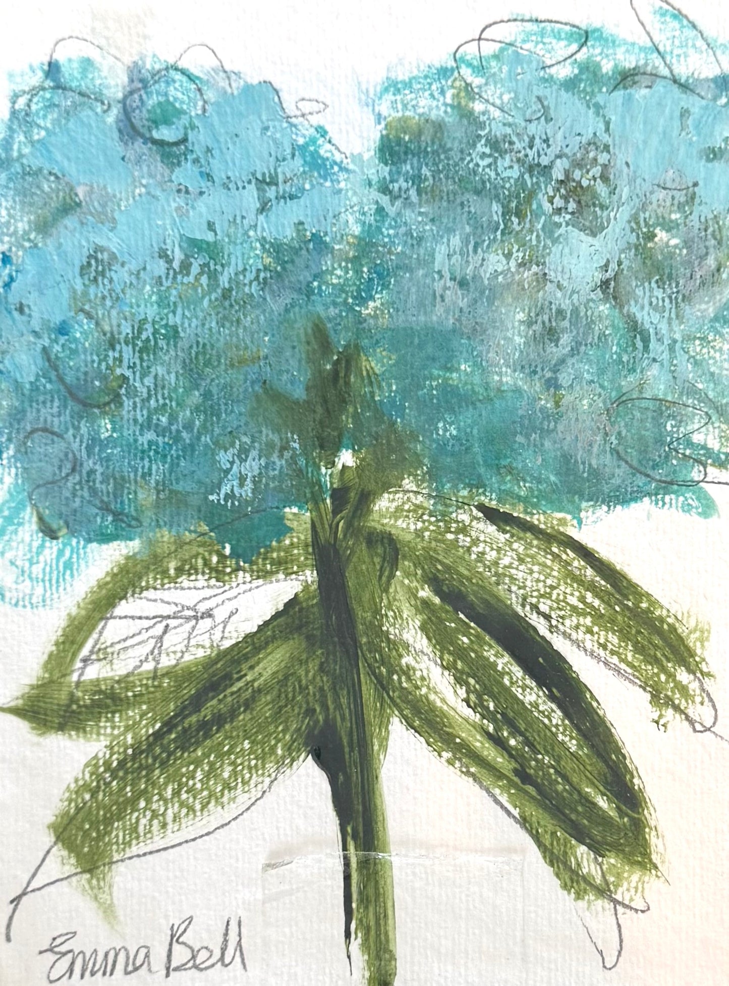 Aqua Hydrangea 2