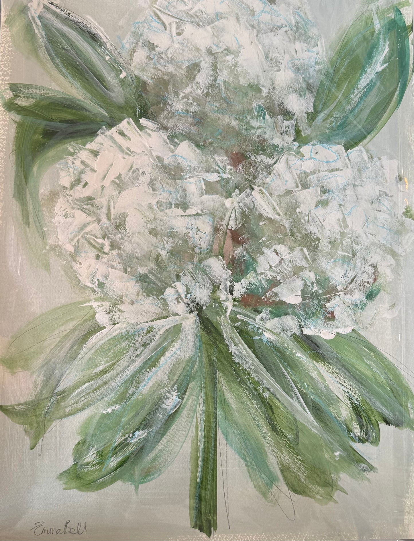 White Hydrangeas