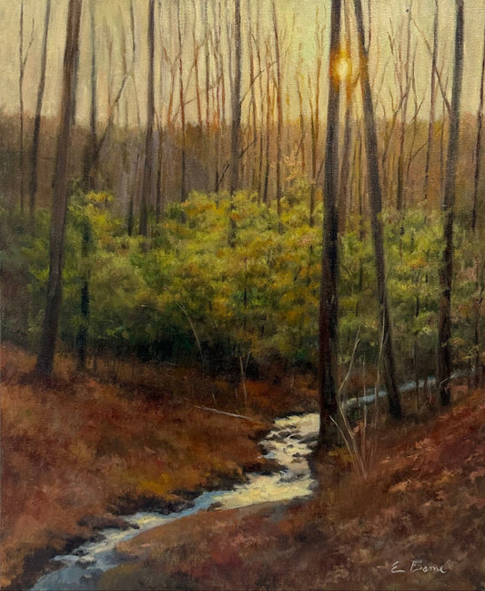 Woodland Stream