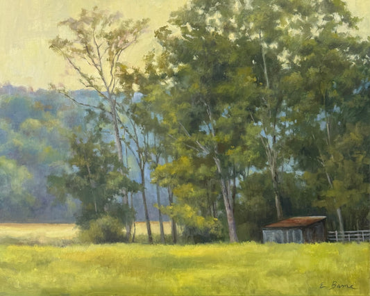 The Edge of the Meadow
