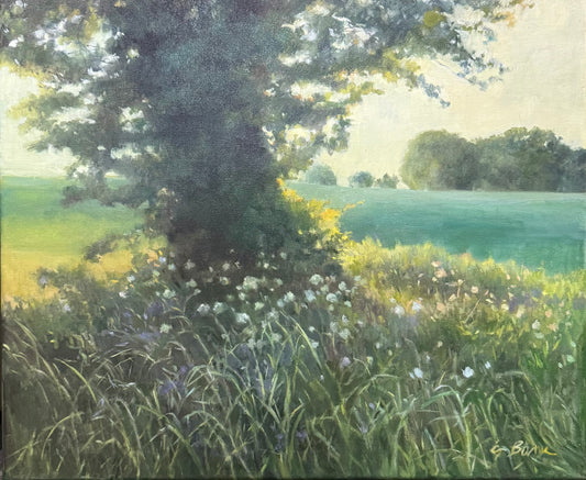 The Meadow Meets the Light
