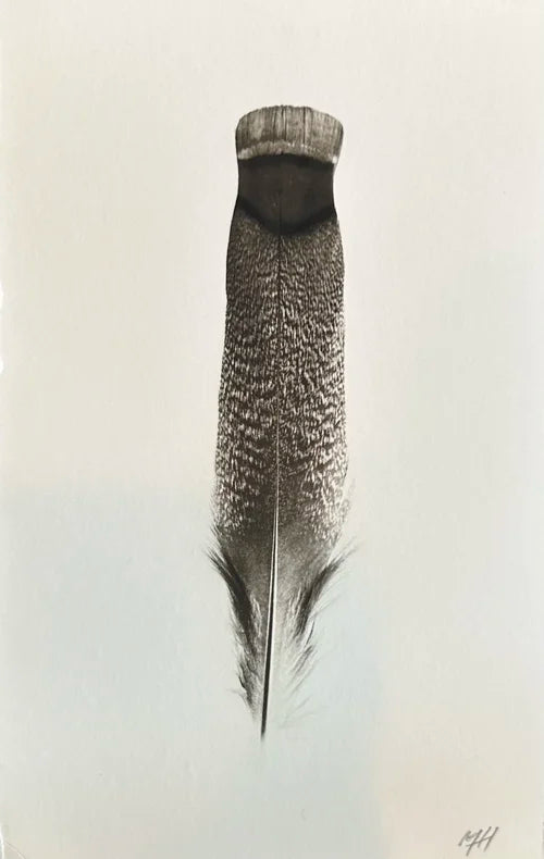 Feather (Small)