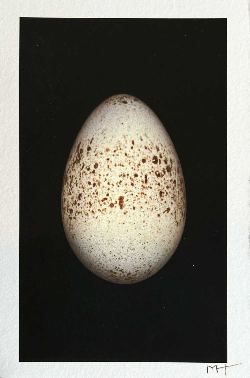 Big Egg (Small)