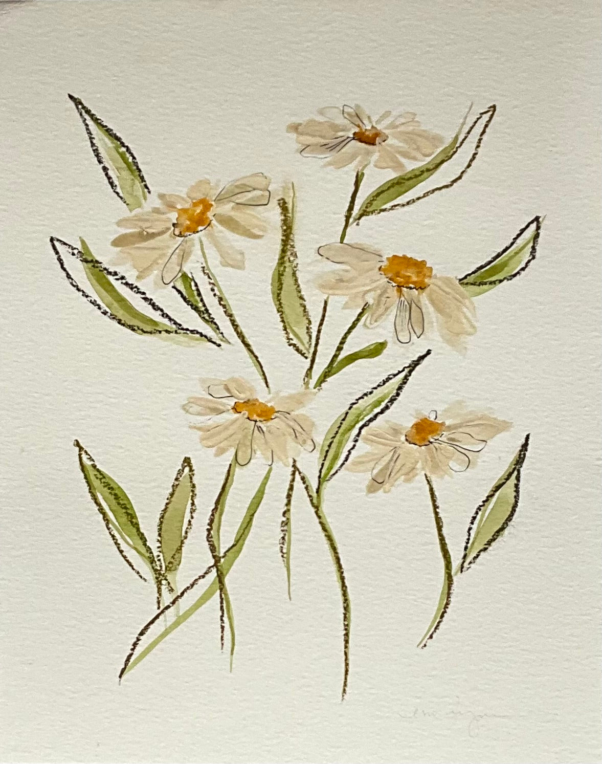 Watercolor Daisys