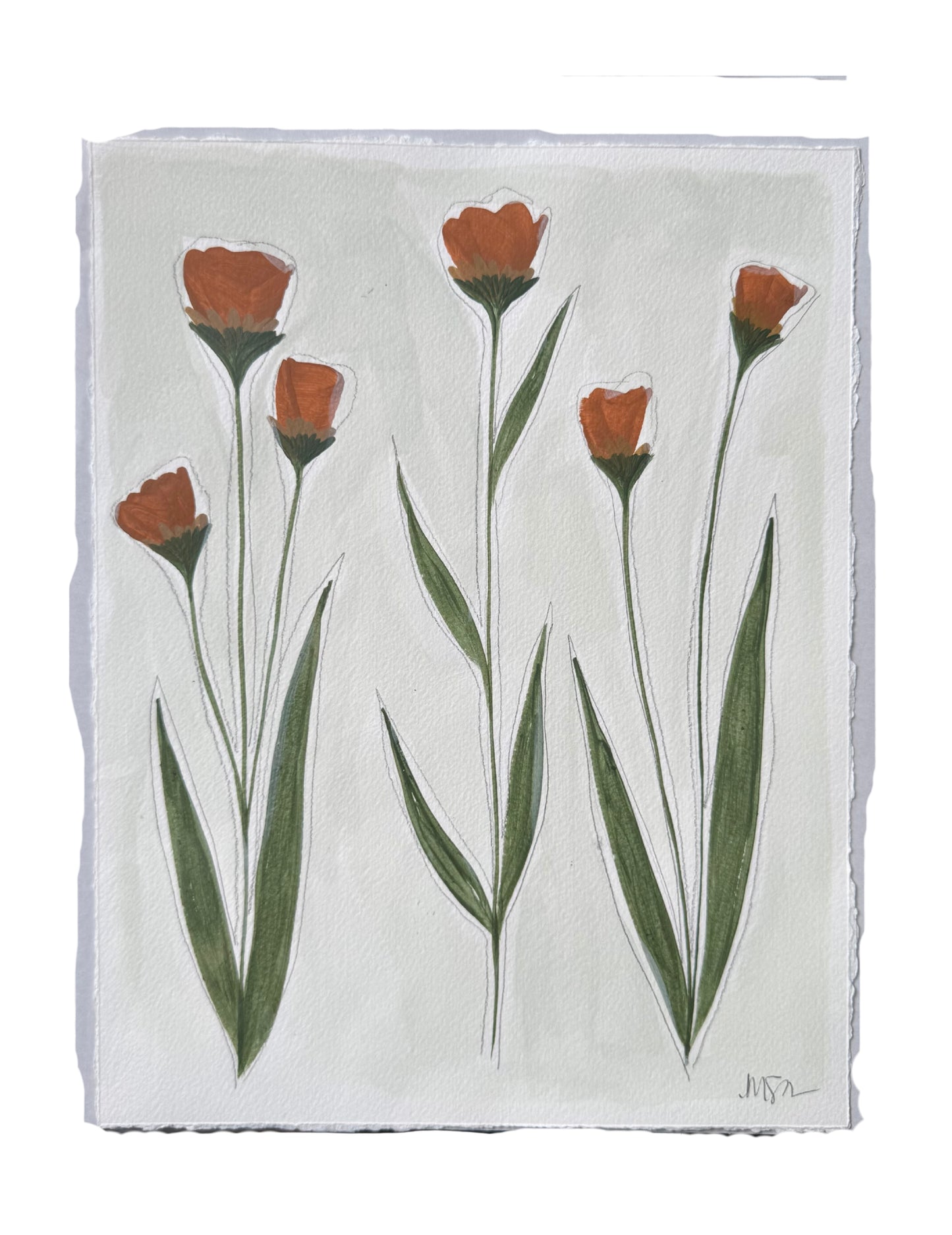 Secret Garden 1