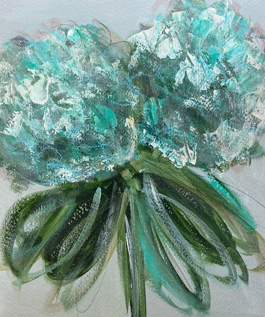Aqua Hydrangeas