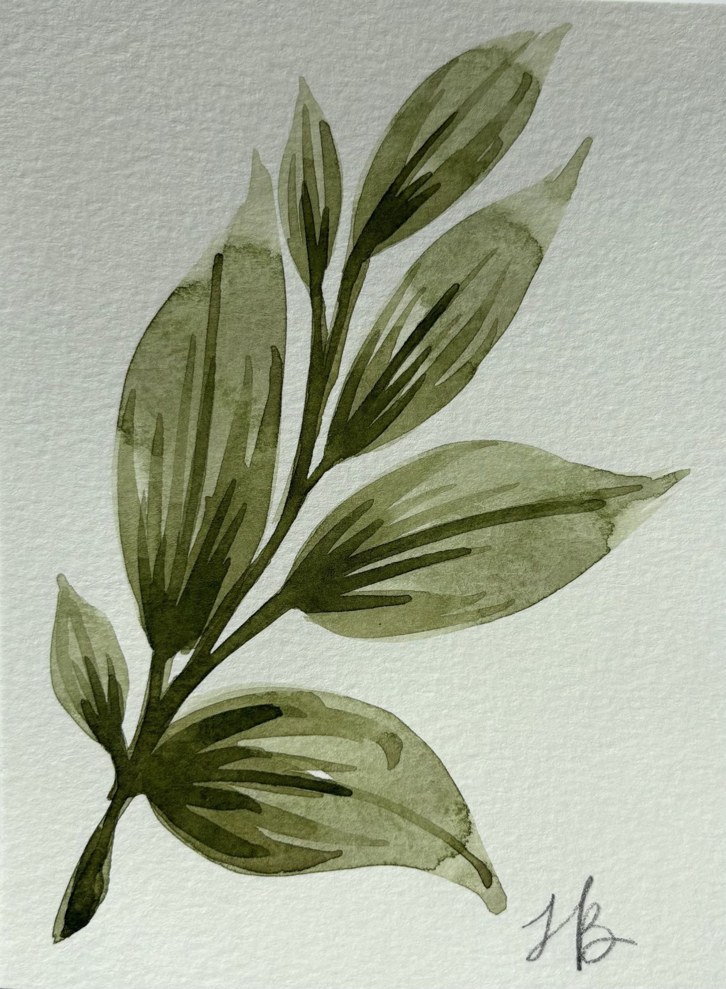 Leafy Green 4