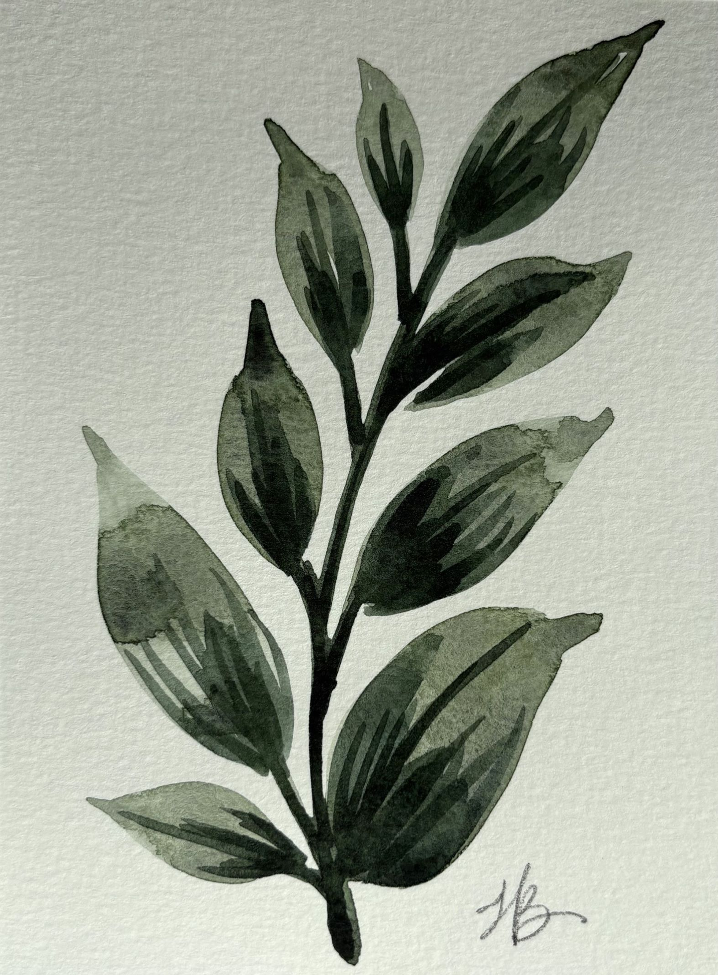 Leafy Green 6