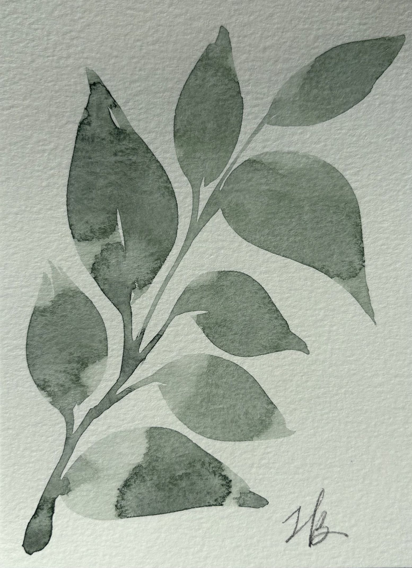 Leafy Green 8