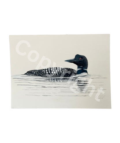Common Loon 1