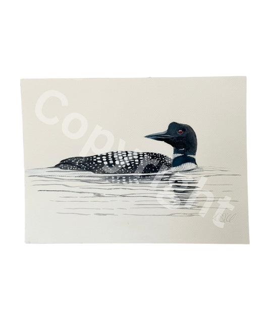Common Loon 1