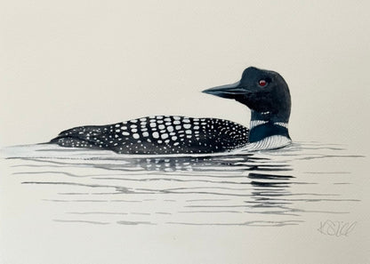 Common Loon 1