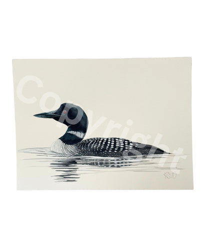 Common Loon 2