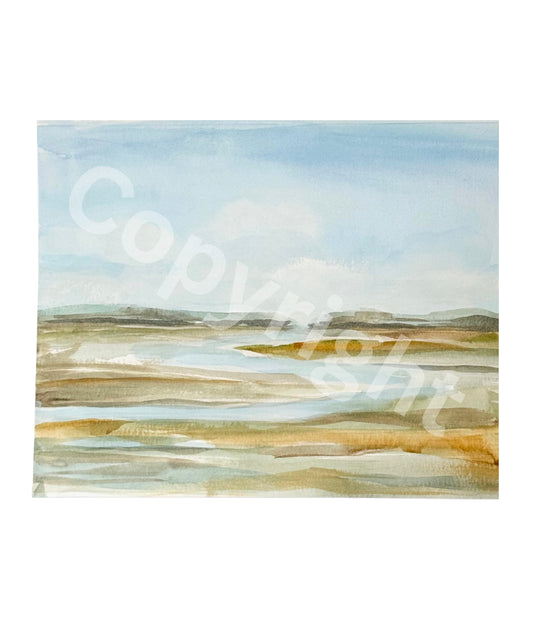 Marsh Study 2