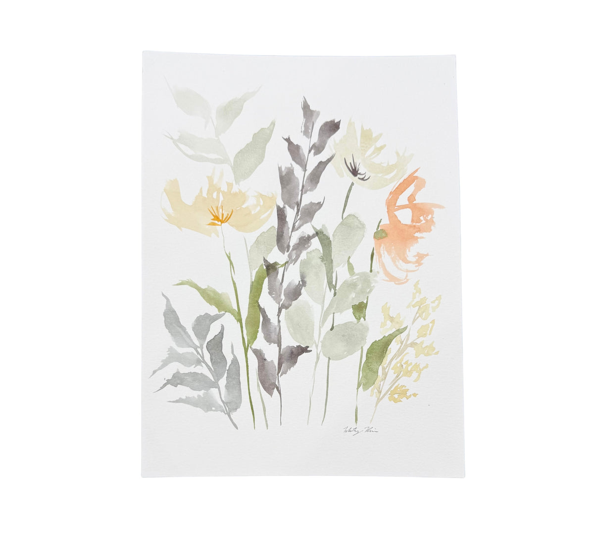 Botanical Study