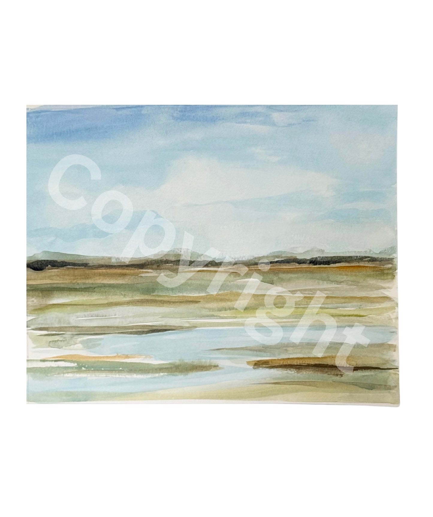 Marsh Study 1