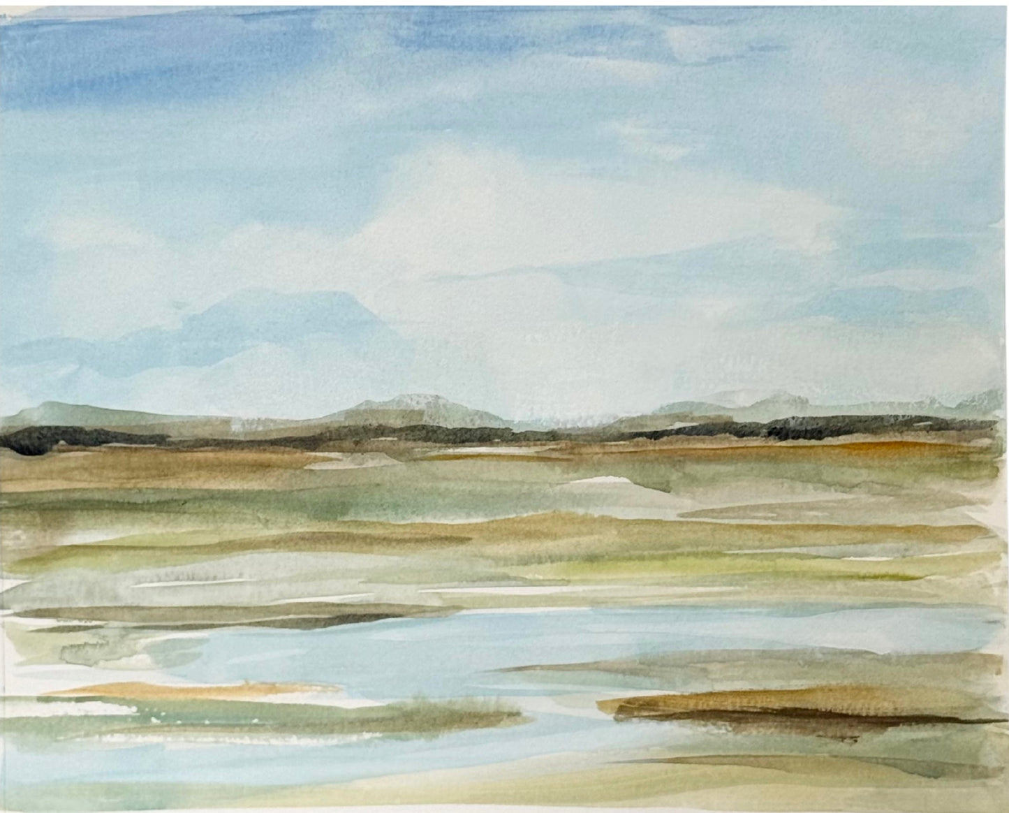 Marsh Study 1