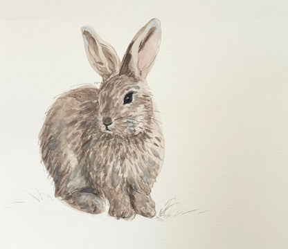 Rabbit