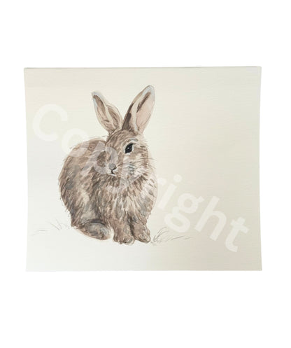 Rabbit