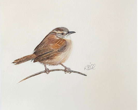 Wren Sass
