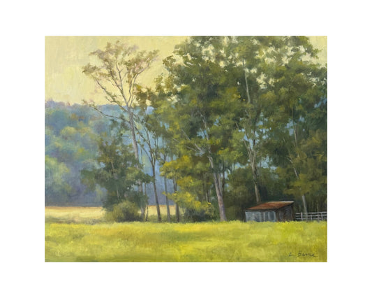 The Edge of the Meadow