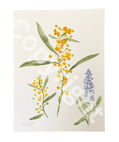 Wildflowers