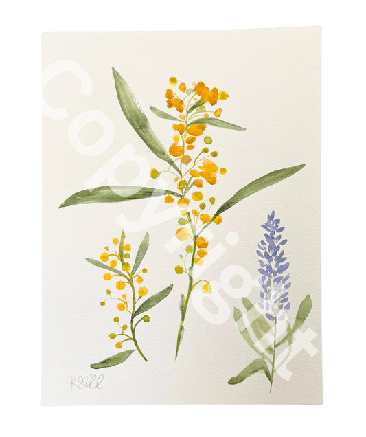Wildflowers