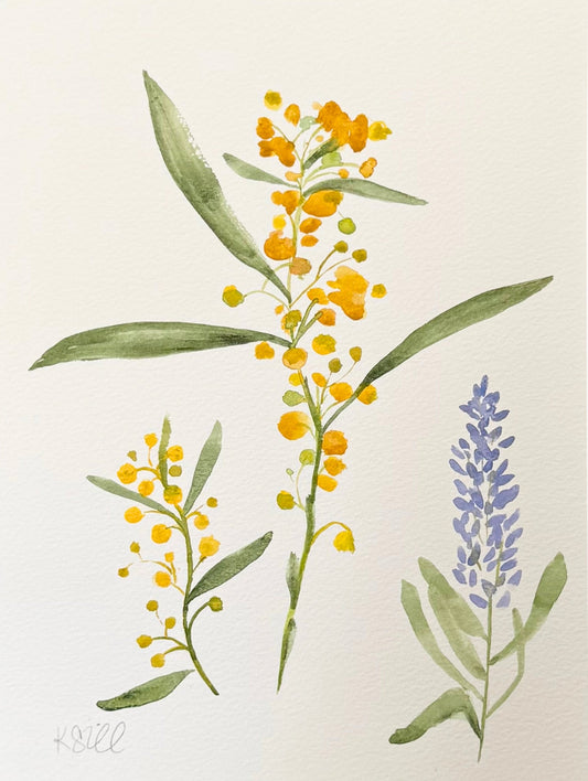 Wildflowers