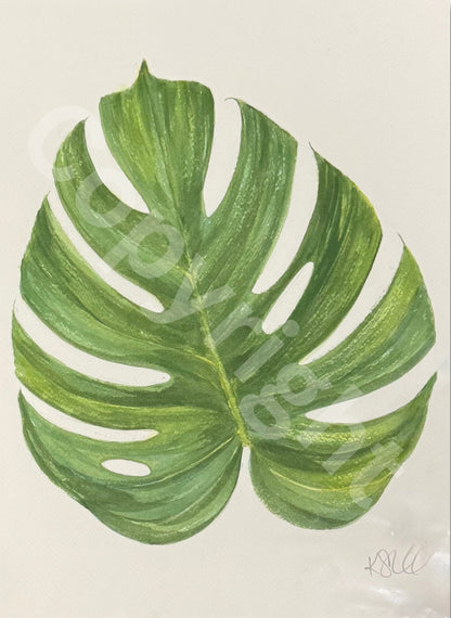 Monstera Leaf
