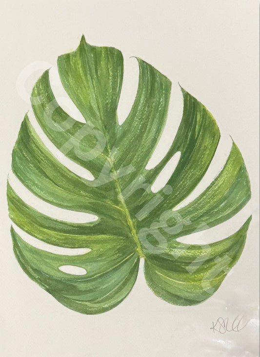 Monstera Leaf