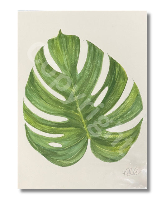Monstera Leaf