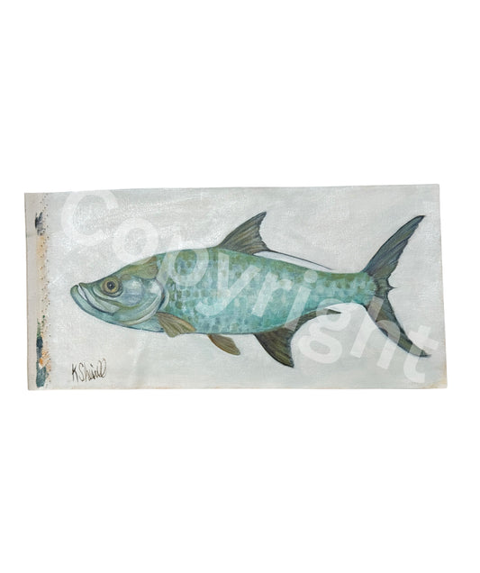 Tarpon