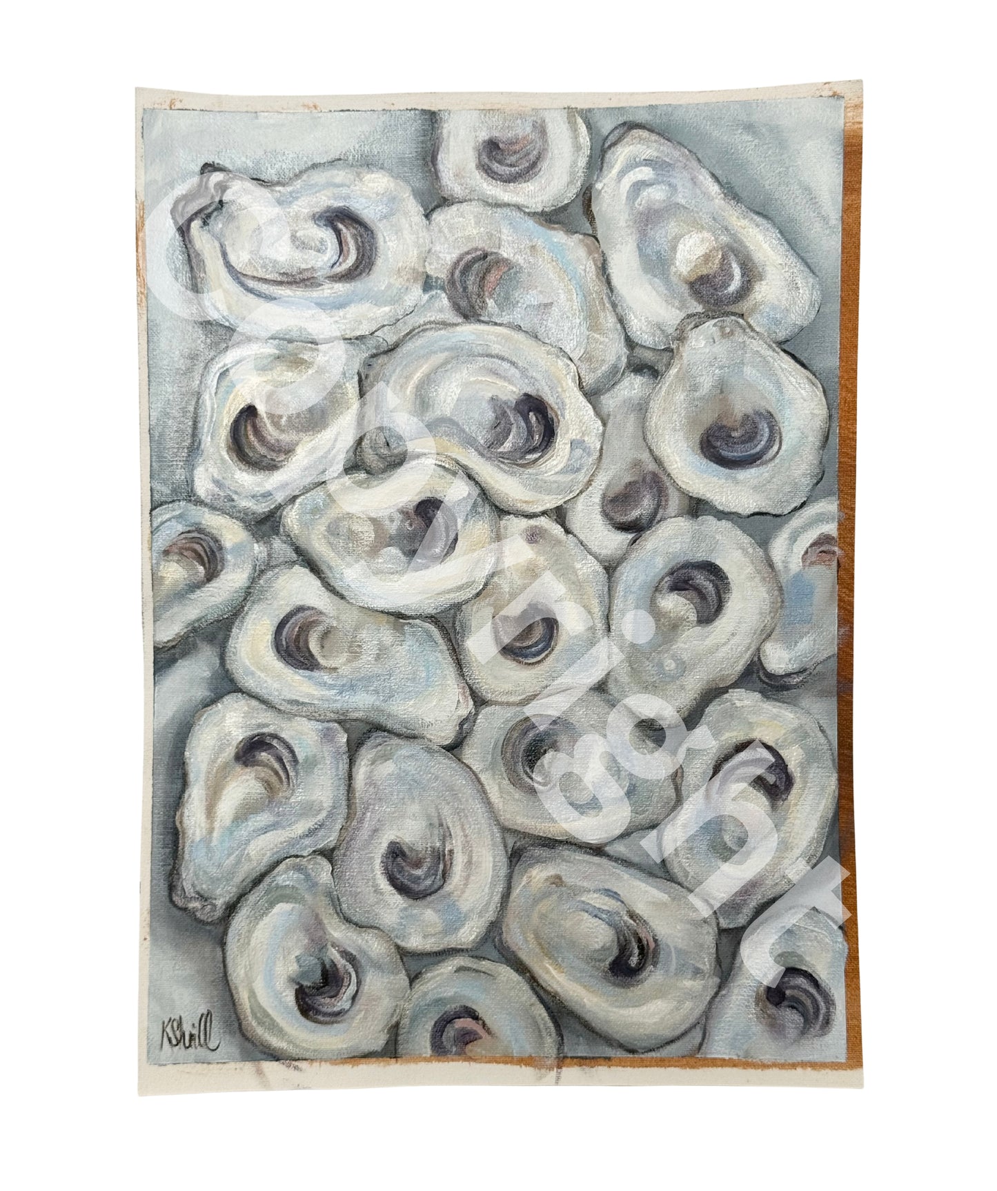Oysters