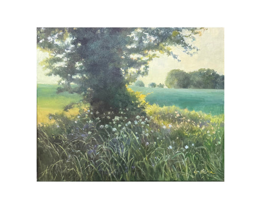 The Meadow Meets the Light