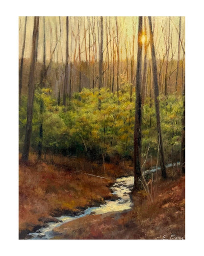 Woodland Stream