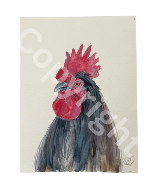 Black Rooster