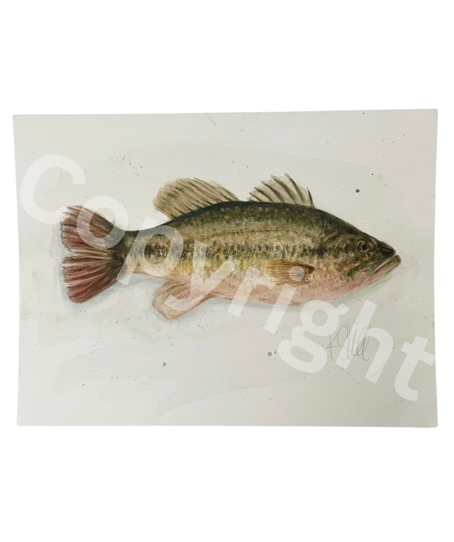 Bass