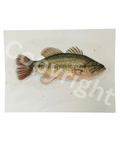Bass