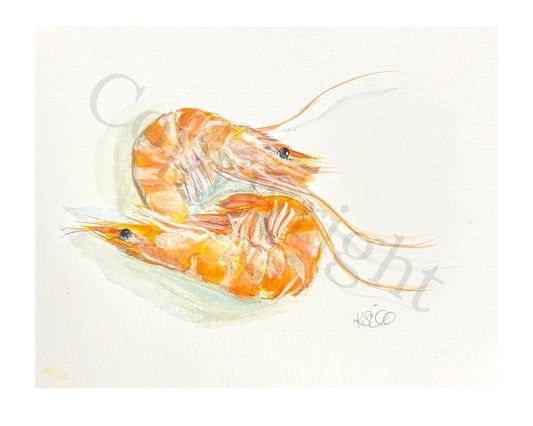 Shrimp