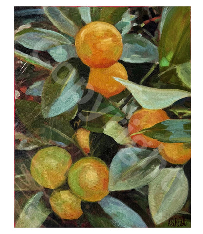 Oranges