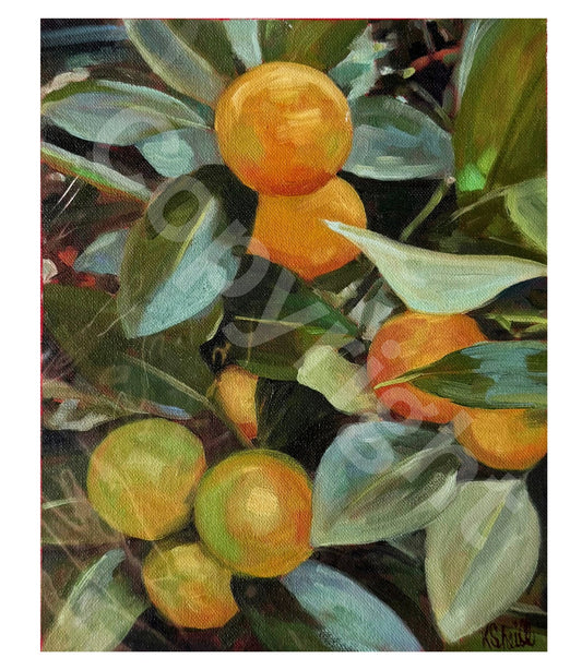 Oranges