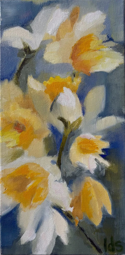 Daffodils