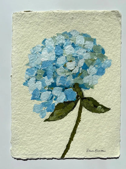 Bright Blue Mophead 1